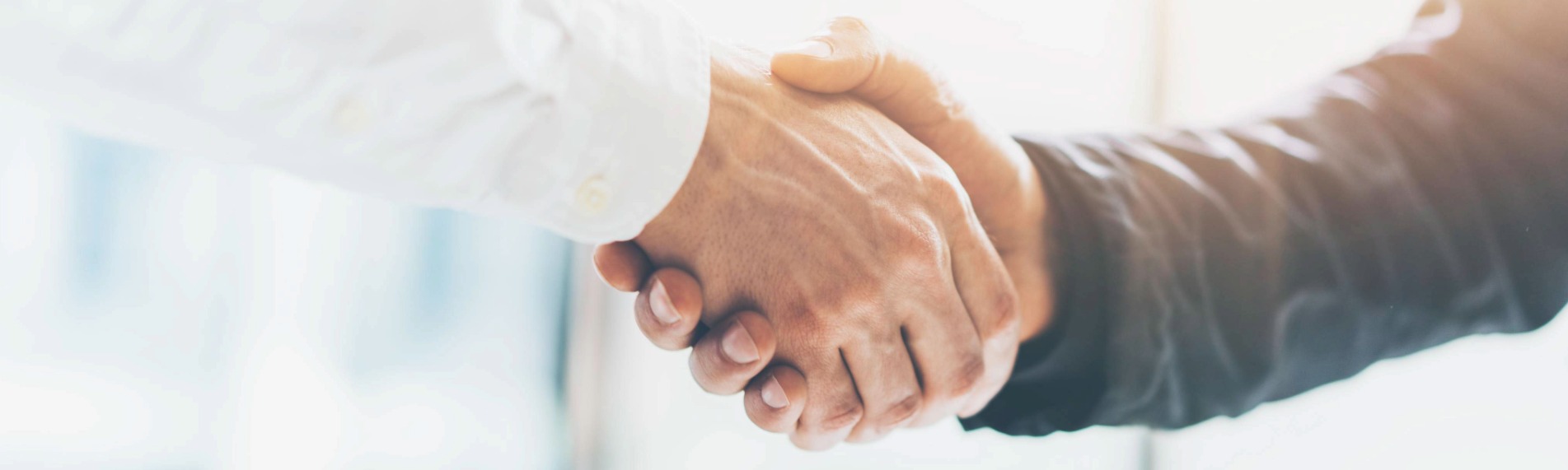 A handshake between two people