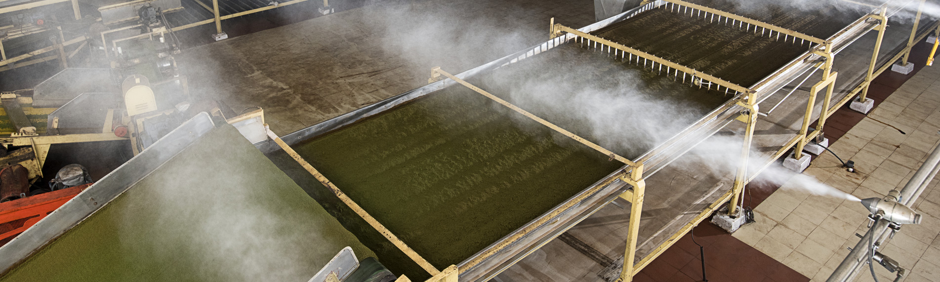 Tea production humidification & humidity control